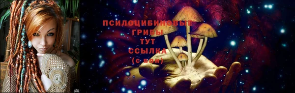 PSILOCYBIN Абинск