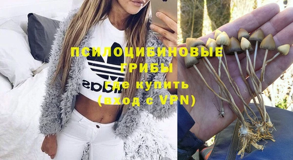 тгк Абдулино