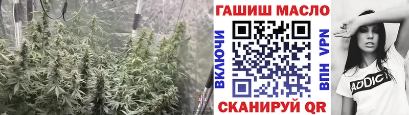 OMG ТОР  Кохма  Дистиллят ТГК Wax 