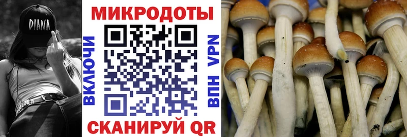 купить закладку  Кохма  Псилоцибиновые грибы прущие грибы 